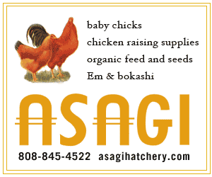 Asagi Hatchery